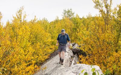 Top 10 Trekking Poles for Your Calgary, Alberta Adventure